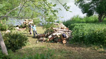 Saint Hilaire Saint Mesmin, travaux d'abattage d'arbres morts réalisé par Val Espoir